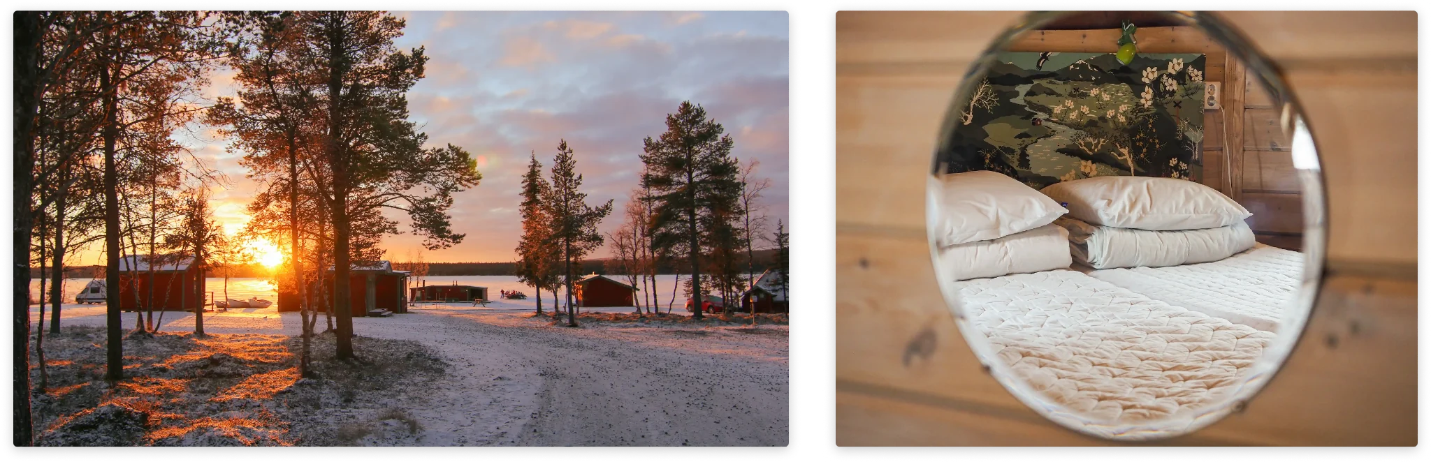Arctic landscape surrounding the camp — birch forest, frozen water, winter light